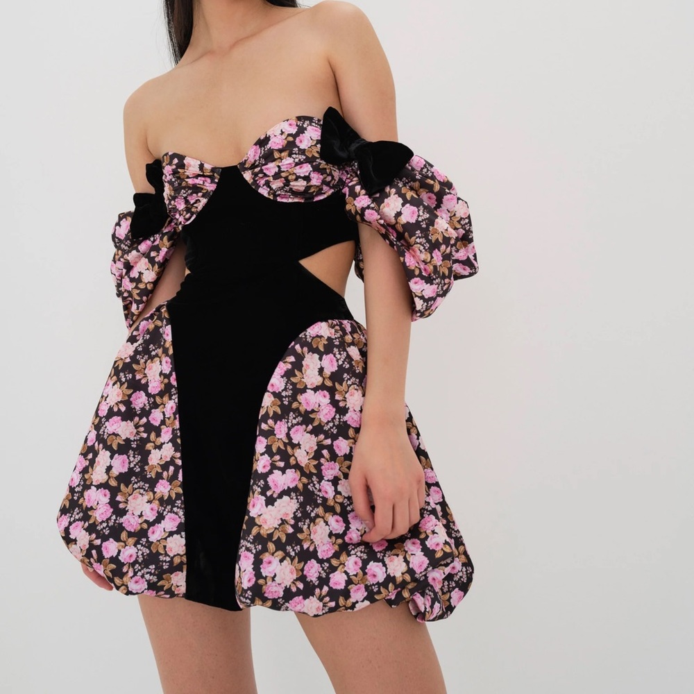 For Love and Lemons Dress